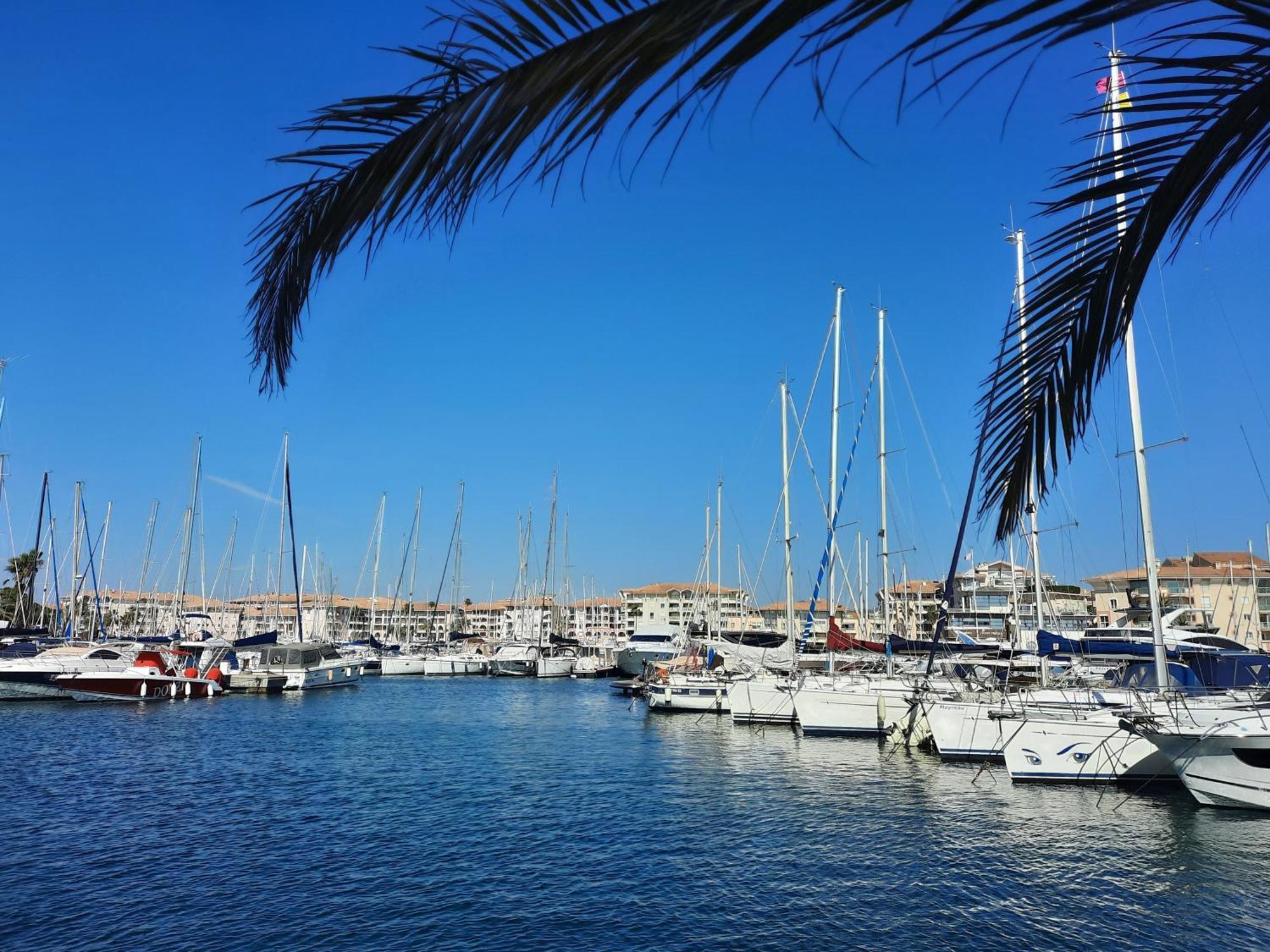 Coeur Marina Climatise Terrasse Parking Appartement Fréjus Buitenkant foto